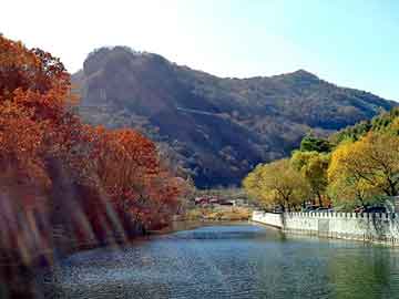 澳门二四六天天彩图库，契约天使